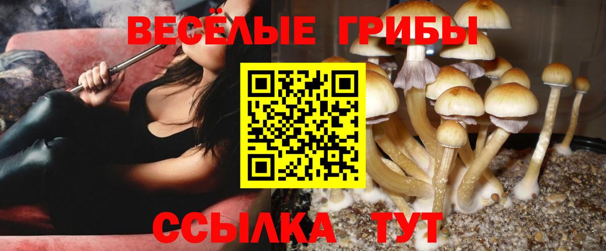 Галлюциногенные грибы ЛСД Тольятти