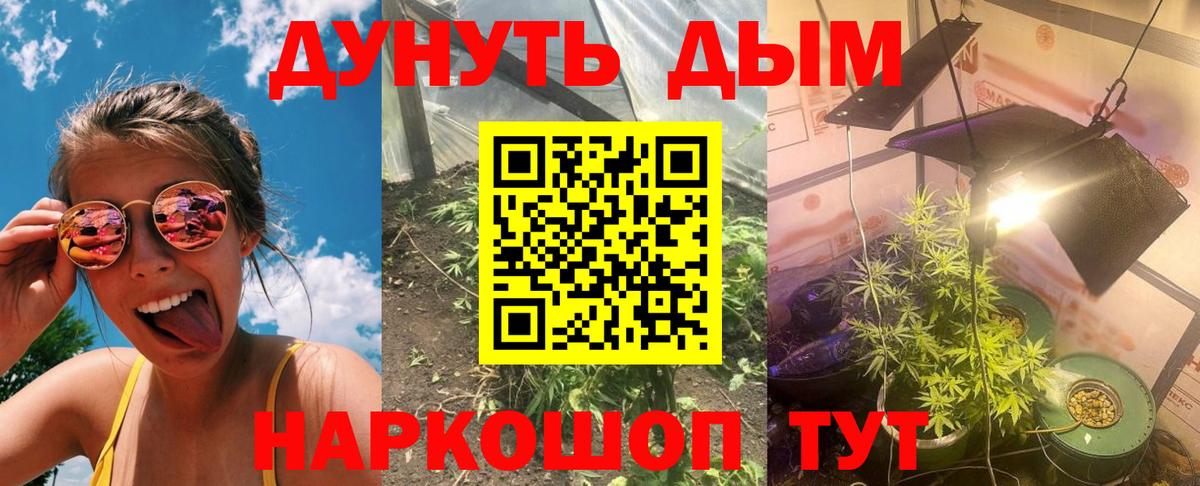Каннабис семена  Бошки Шишки марихуана  Конопля семена  МАРИХУАНА сатива  Тольятти  Вход с VPN 